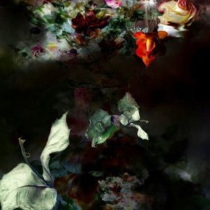 Meet your Posher, Jade